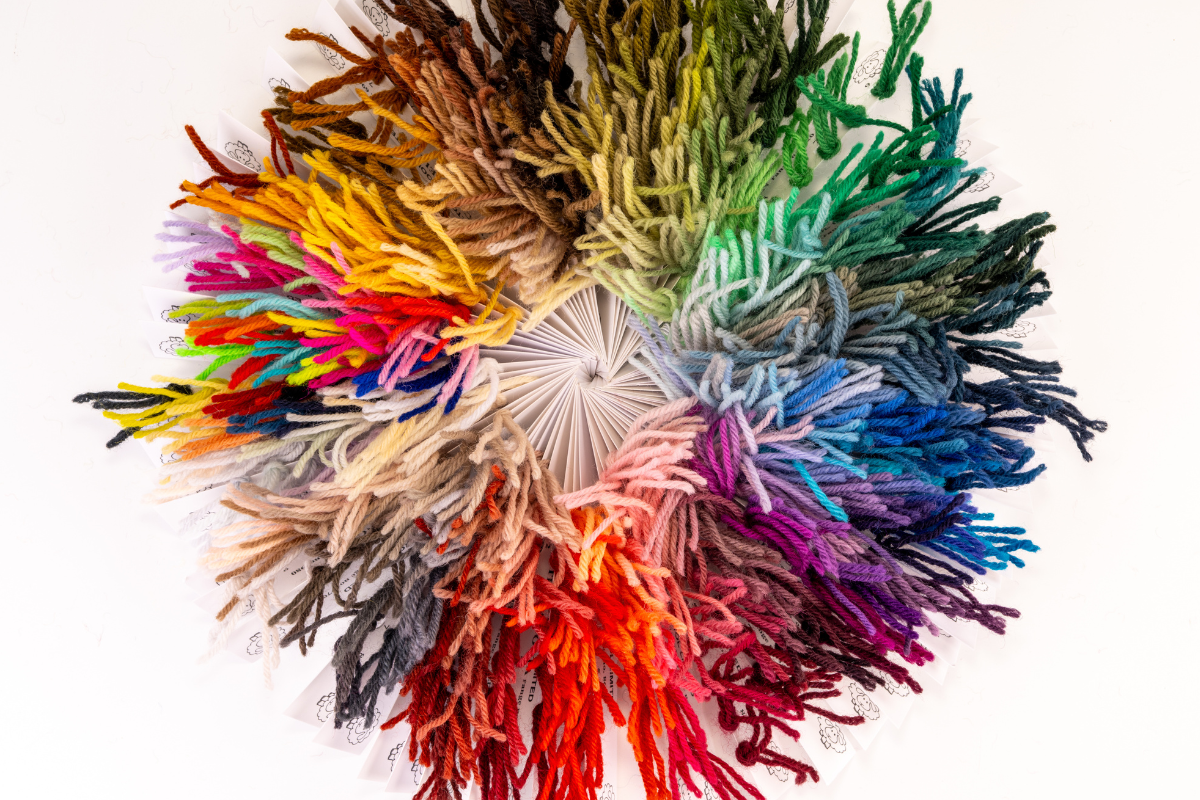 Behind the Palette: The Art of Colour Selection at Appletons