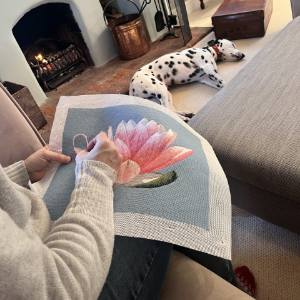 Lotus-being-stitched-scaled