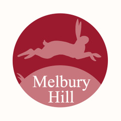 thumbnail_mail tester logo