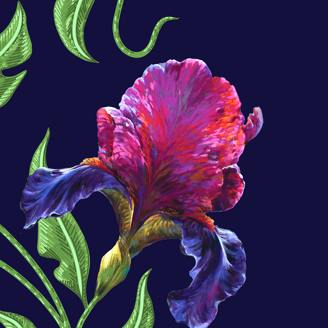 Nel Whatmore NxPR1_TGP64_Iris my case card_JEWEL