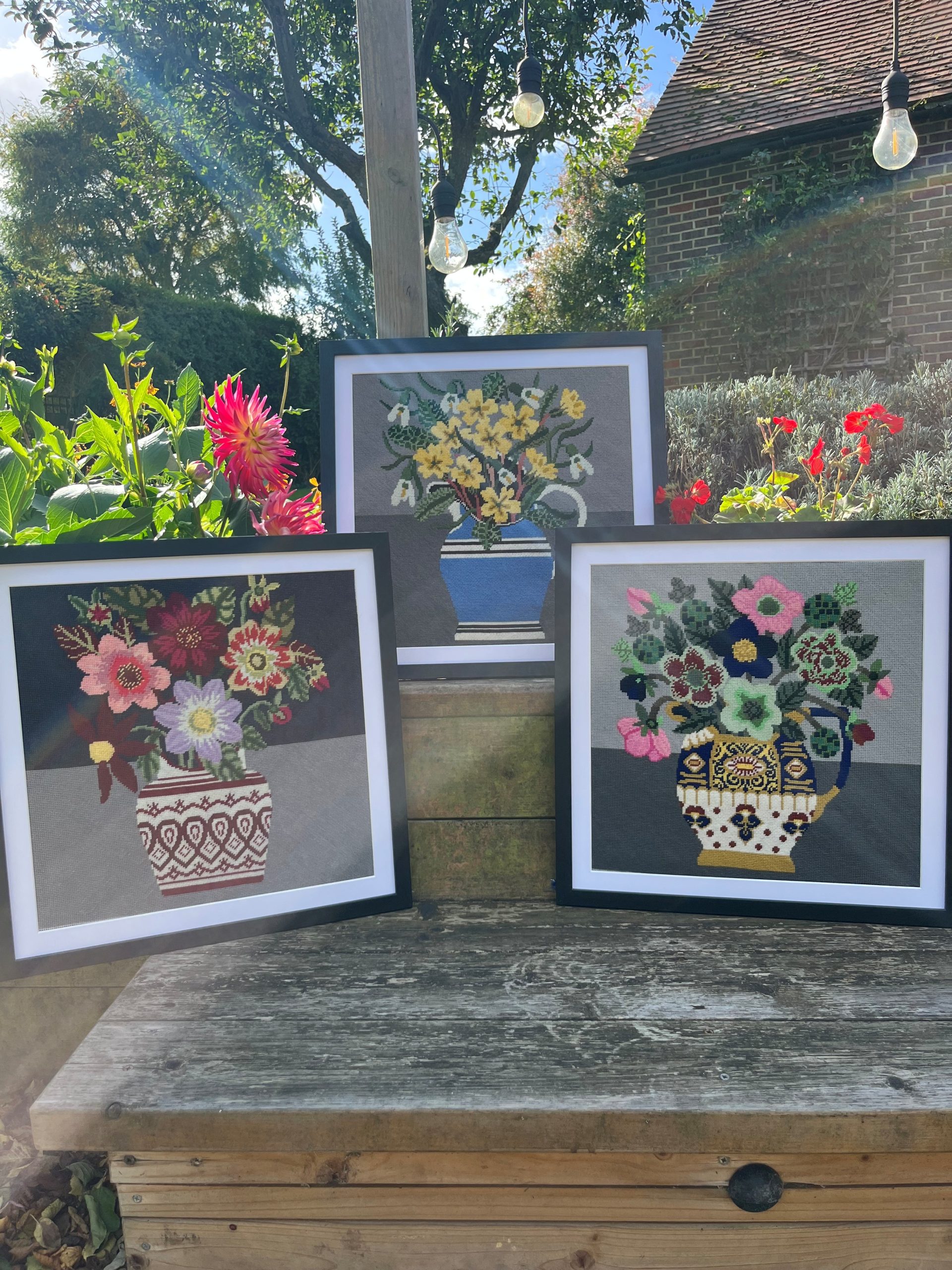 Helleborus - Image 2